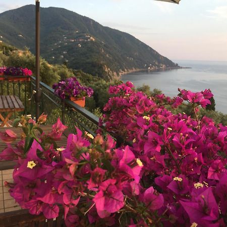 B&B Case Rosse Camogli Εξωτερικό φωτογραφία