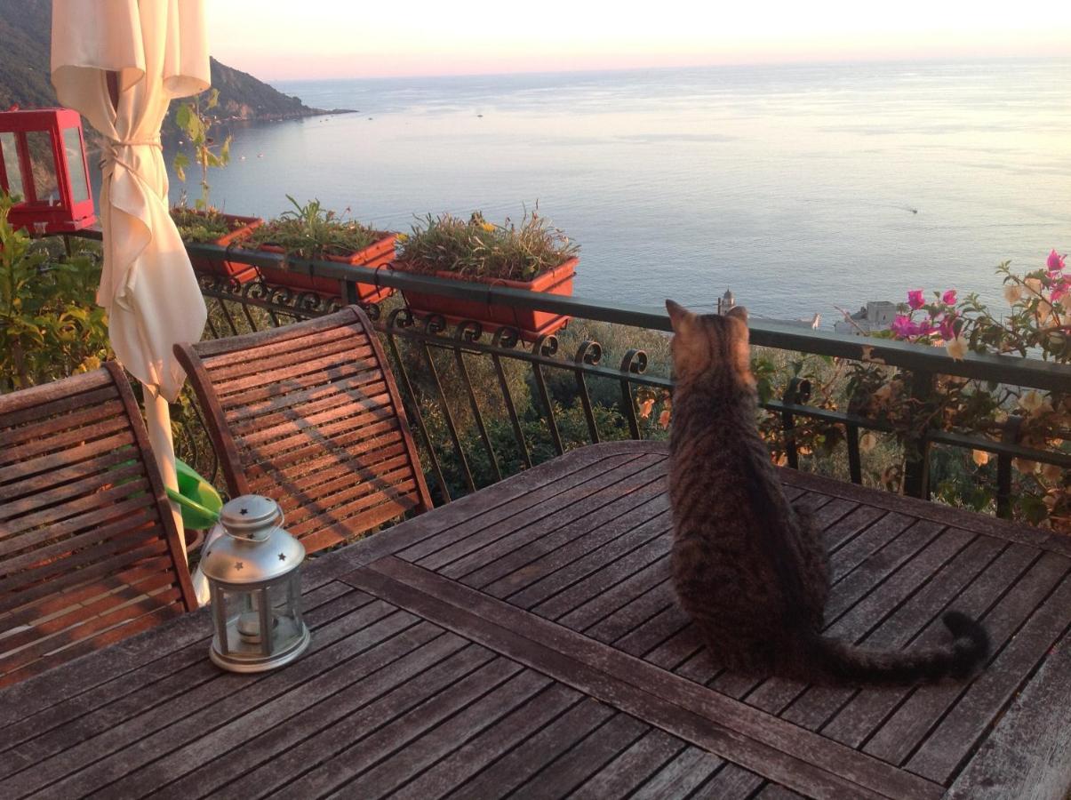 B&B Case Rosse Camogli Εξωτερικό φωτογραφία
