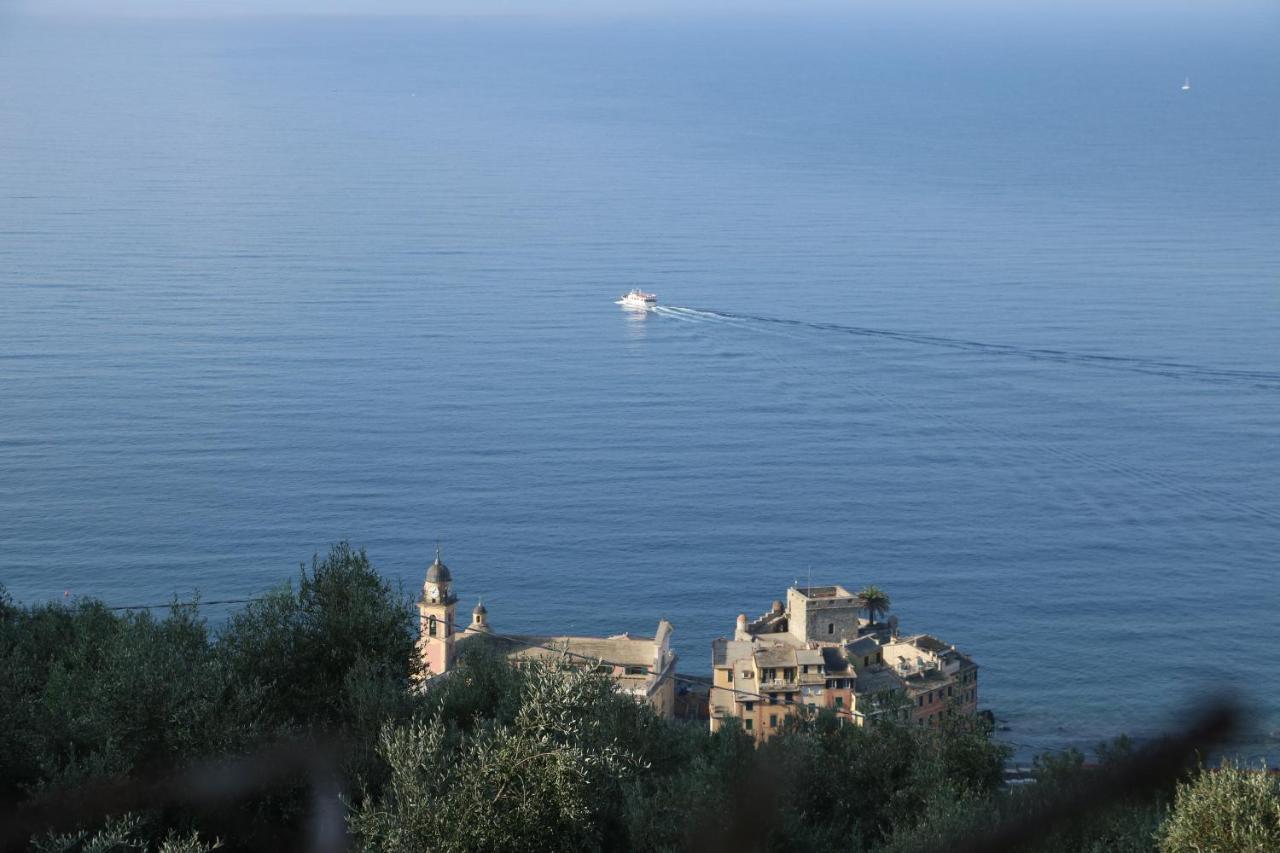 B&B Case Rosse Camogli Εξωτερικό φωτογραφία