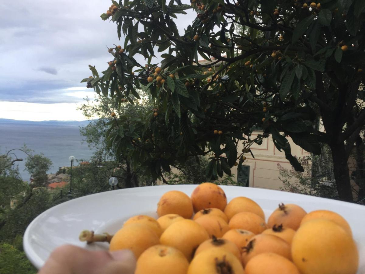 B&B Case Rosse Camogli Εξωτερικό φωτογραφία